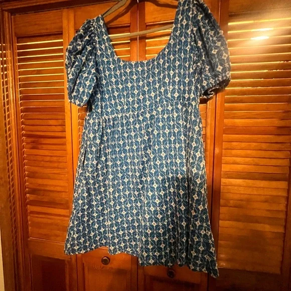 target white and blue floral dress Mini Roselyn Dress in Blue Linear Floral Print 4/5
